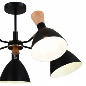 Люстра на штанге EVOLUCE VISTA SLE1256-402-05 в Миассе - miass.mebel24.online | фото 10