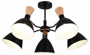 Люстра на штанге EVOLUCE VISTA SLE1256-402-05 в Миассе - miass.mebel24.online | фото 6