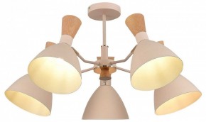 Люстра на штанге EVOLUCE VISTA SLE1256-502-05 в Миассе - miass.mebel24.online | фото 6