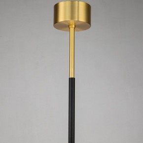 Люстра на штанге Favourite Maximo 2623-12P в Миассе - miass.mebel24.online | фото 7