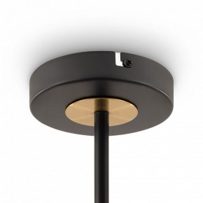 Люстра на штанге Freya Hats FR5370CL-04B в Миассе - miass.mebel24.online | фото 6