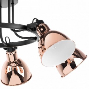 Люстра на штанге Lightstar Acrobata 761063 в Миассе - miass.mebel24.online | фото 3