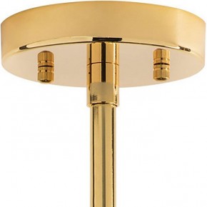 Люстра на штанге Lightstar Dumo 816066 в Миассе - miass.mebel24.online | фото 5