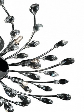 Люстра на штанге Lightstar Isabelle 791184 в Миассе - miass.mebel24.online | фото 2