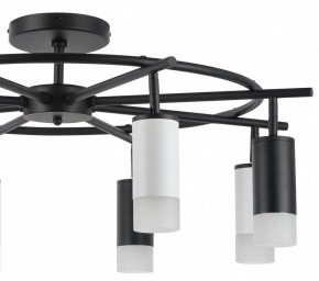 Люстра на штанге Lightstar Rullo LR7183743641 в Миассе - miass.mebel24.online | фото 4