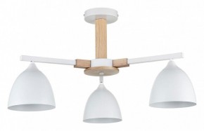Люстра на штанге Lumion Colange 8095/3C в Миассе - miass.mebel24.online | фото