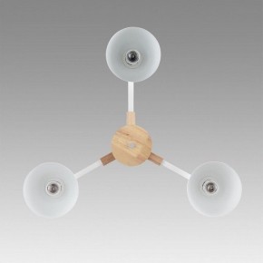 Люстра на штанге Lumion Colange 8095/3C в Миассе - miass.mebel24.online | фото 3
