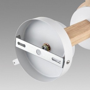 Люстра на штанге Lumion Colange 8095/3C в Миассе - miass.mebel24.online | фото 6