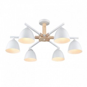 Люстра на штанге Lumion Colange 8095/6C в Миассе - miass.mebel24.online | фото 3