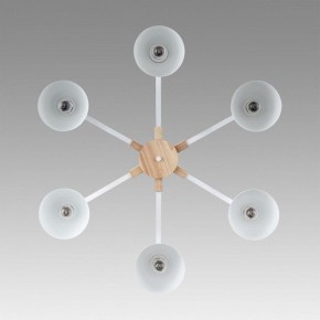 Люстра на штанге Lumion Colange 8095/6C в Миассе - miass.mebel24.online | фото 4