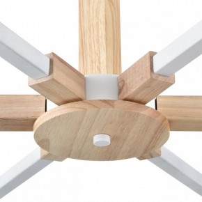 Люстра на штанге Lumion Colange 8095/6C в Миассе - miass.mebel24.online | фото 7