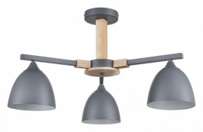Люстра на штанге Lumion Colange 8096/3C в Миассе - miass.mebel24.online | фото