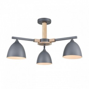 Люстра на штанге Lumion Colange 8096/3C в Миассе - miass.mebel24.online | фото 2