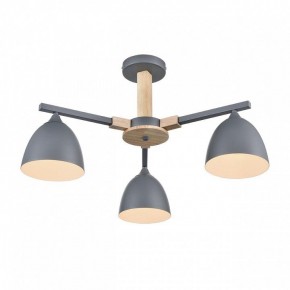 Люстра на штанге Lumion Colange 8096/3C в Миассе - miass.mebel24.online | фото 3