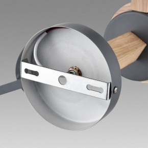 Люстра на штанге Lumion Colange 8096/3C в Миассе - miass.mebel24.online | фото 6