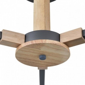 Люстра на штанге Lumion Colange 8096/3C в Миассе - miass.mebel24.online | фото 7
