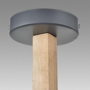 Люстра на штанге Lumion Colange 8096/3C в Миассе - miass.mebel24.online | фото 9