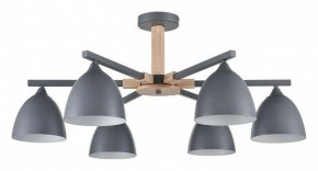 Люстра на штанге Lumion Colange 8096/6C в Миассе - miass.mebel24.online | фото