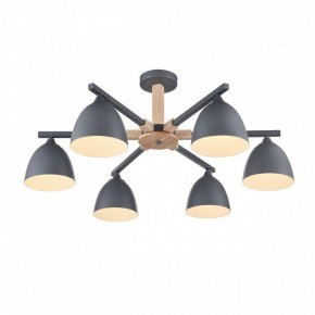 Люстра на штанге Lumion Colange 8096/6C в Миассе - miass.mebel24.online | фото 3