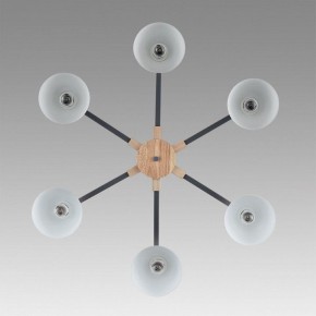 Люстра на штанге Lumion Colange 8096/6C в Миассе - miass.mebel24.online | фото 4