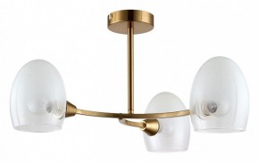 Люстра на штанге Lumion Kendall 6514/3C в Миассе - miass.mebel24.online | фото