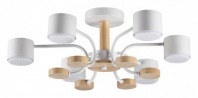 Люстра на штанге Lumion Rondo 8231/6C в Миассе - miass.mebel24.online | фото