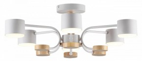 Люстра на штанге Lumion Rondo 8231/6C в Миассе - miass.mebel24.online | фото 2