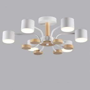 Люстра на штанге Lumion Rondo 8231/6C в Миассе - miass.mebel24.online | фото 4