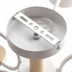 Люстра на штанге Lumion Rondo 8231/6C в Миассе - miass.mebel24.online | фото 6