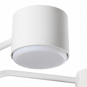 Люстра на штанге Lumion Rondo 8231/6C в Миассе - miass.mebel24.online | фото 7