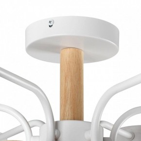 Люстра на штанге Lumion Rondo 8231/6C в Миассе - miass.mebel24.online | фото 8