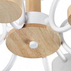 Люстра на штанге Lumion Rondo 8231/6C в Миассе - miass.mebel24.online | фото 9