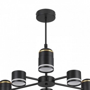 Люстра на штанге Lumion Virsava 8234/6C в Миассе - miass.mebel24.online | фото 5