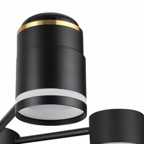 Люстра на штанге Lumion Virsava 8234/6C в Миассе - miass.mebel24.online | фото 8