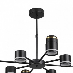 Люстра на штанге Lumion Virsava 8234/8C в Миассе - miass.mebel24.online | фото 5