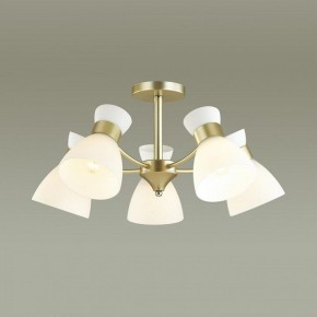 Люстра на штанге Lumion Wilma 4535/5C в Миассе - miass.mebel24.online | фото 3