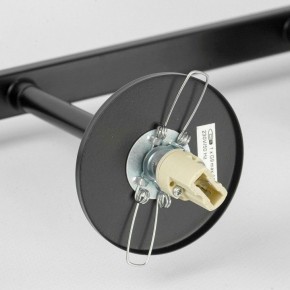 Люстра на штанге Lussole Antioch LSP-8849 в Миассе - miass.mebel24.online | фото 6