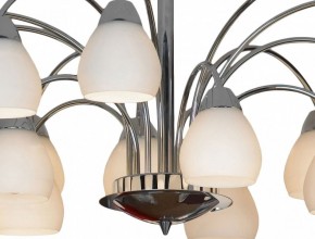 Люстра на штанге Lussole Apiro LSF-2403-15 в Миассе - miass.mebel24.online | фото 2