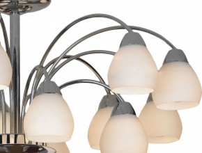 Люстра на штанге Lussole Apiro LSF-2403-15 в Миассе - miass.mebel24.online | фото 3