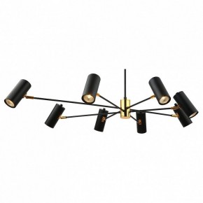 Люстра на штанге Lussole Duncan LSP-8252 в Миассе - miass.mebel24.online | фото 2