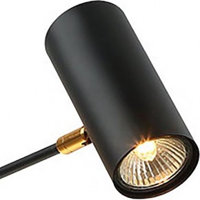 Люстра на штанге Lussole Duncan LSP-8252 в Миассе - miass.mebel24.online | фото 3