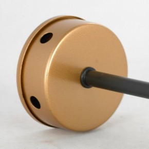 Люстра на штанге Lussole Durham LSP-8796 в Миассе - miass.mebel24.online | фото 4