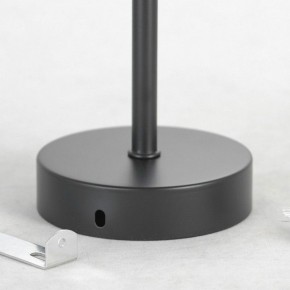 Люстра на штанге Lussole Fishers LSP-8798 в Миассе - miass.mebel24.online | фото 7