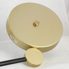 Люстра на штанге Lussole Gilbert LSP-8433 в Миассе - miass.mebel24.online | фото 4