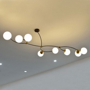 Люстра на штанге Lussole LSP-891 LSP-8914 в Миассе - miass.mebel24.online | фото 3