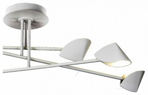 Люстра на штанге Mantra Capuccina 7572 в Миассе - miass.mebel24.online | фото 3