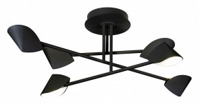 Люстра на штанге Mantra Capuccina 7581 в Миассе - miass.mebel24.online | фото 1