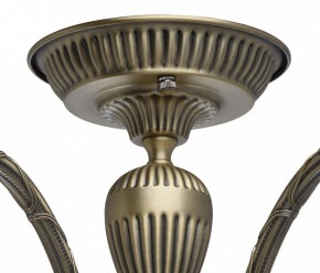 Люстра на штанге MW-Light Аманда 6 481011805 в Миассе - miass.mebel24.online | фото 10