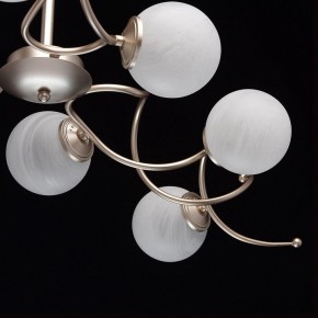 Люстра на штанге MW-Light Оливия 5 306012709 в Миассе - miass.mebel24.online | фото 10