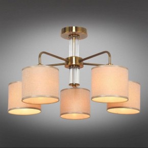Люстра на штанге Omnilux Barumini OML-56907-05 в Миассе - miass.mebel24.online | фото 2